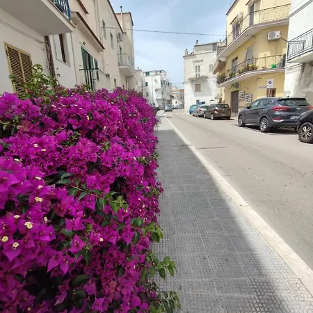 Apulian Dream Villa Peschici Exterior photo