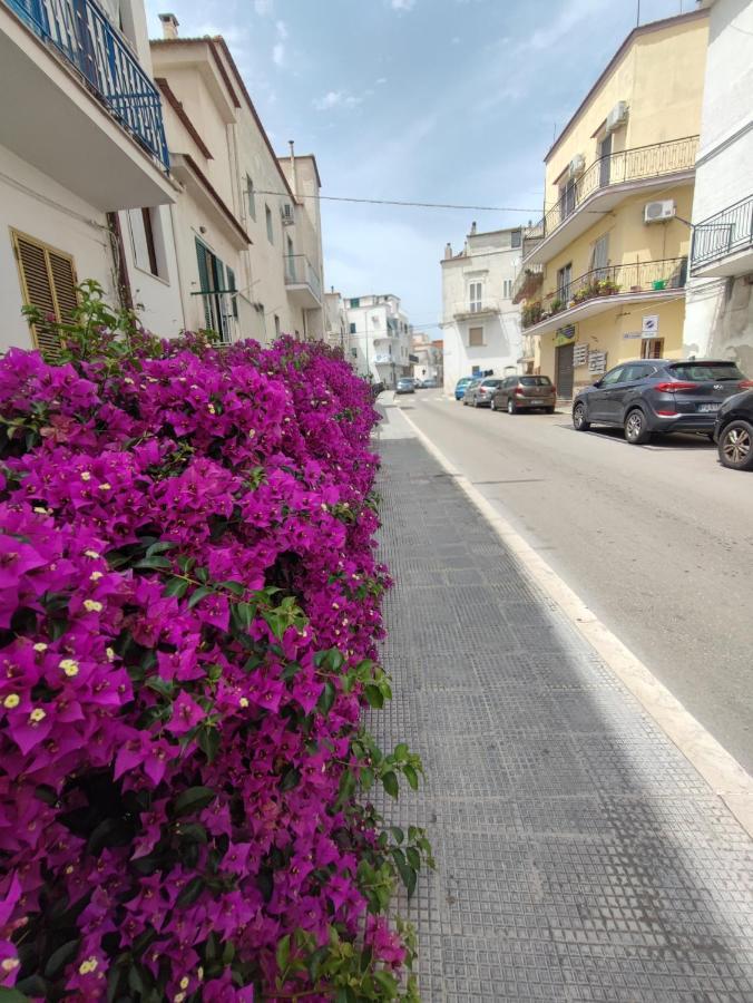 Apulian Dream Peschici